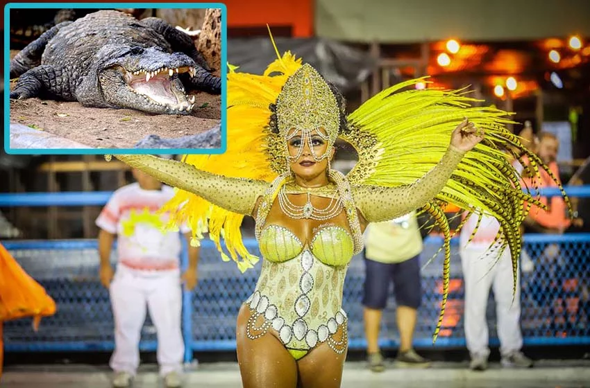 Rio Karnavalı’nda timsah korkusu! Şehri basabilirler
