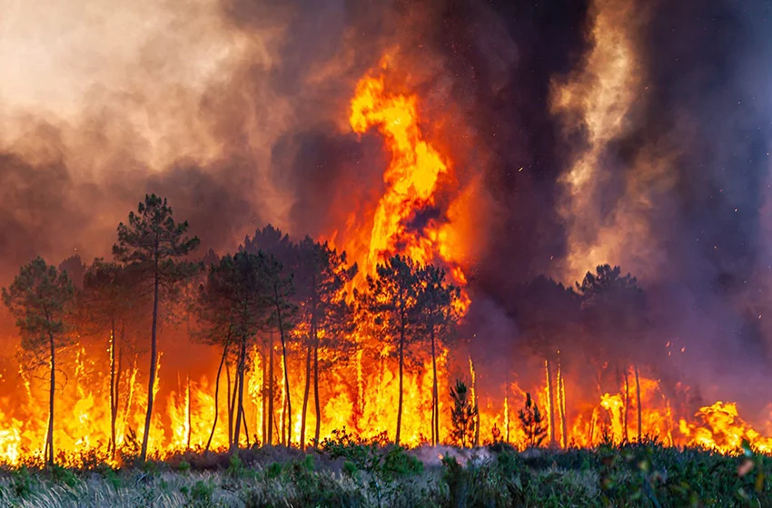 İspanya'da yangınlar hız kesmiyor! 30 farklı yerde yangın çıktı