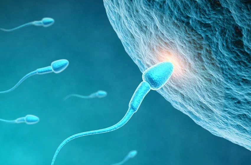 Uzmanlar uyardı! Sperm kalitesini etkiliyor