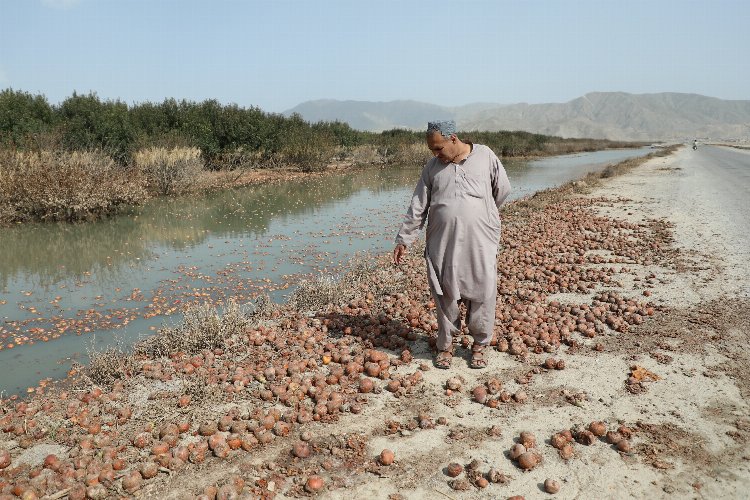 Pakistan'da sel felaketinin bilançosu artıyor
