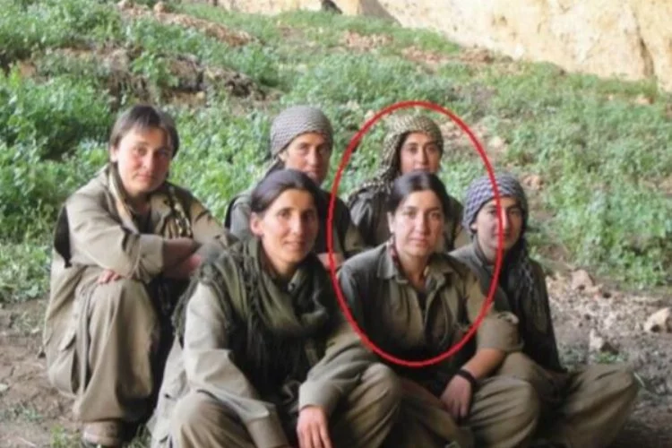 PKK'ya darbe üstüne darbe
