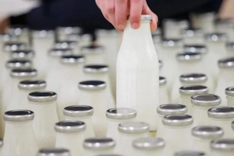 Süt ve süt ürünleri üretiminde sert düşüş