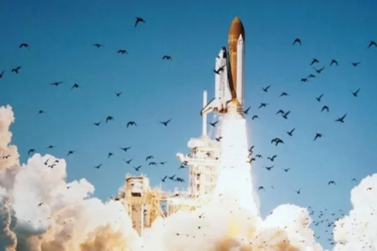 Uzay mekiği Challenger’ın parçası 36 yıl sonra bulundu
